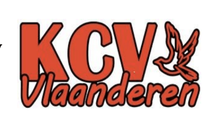 KCV Vlaanderen (Nederlandstalig)